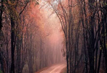 虎扑体育：西甲：毕尔巴鄂以7比1 大胜巴利亚多利德.