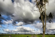 从“好奇宝宝”到“赛场新星”，无锡青少年专业网球梯队交出亮眼成绩单.