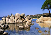 中国足球-种因得果.